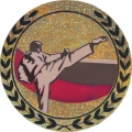 Эмблема-наклейка для медалей "Карате", диаметр 50мм