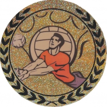 Эмблема-наклейка для медалей "Волейбол", диаметр 50мм