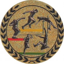 Эмблема-наклейка для медалей "Многоборье", диаметр 25мм