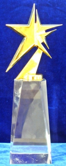 награда стеклянная с металлической звездой HMH3047