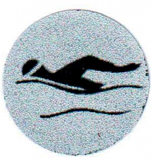 Эмблема-наклейка 2 место "Плавание"